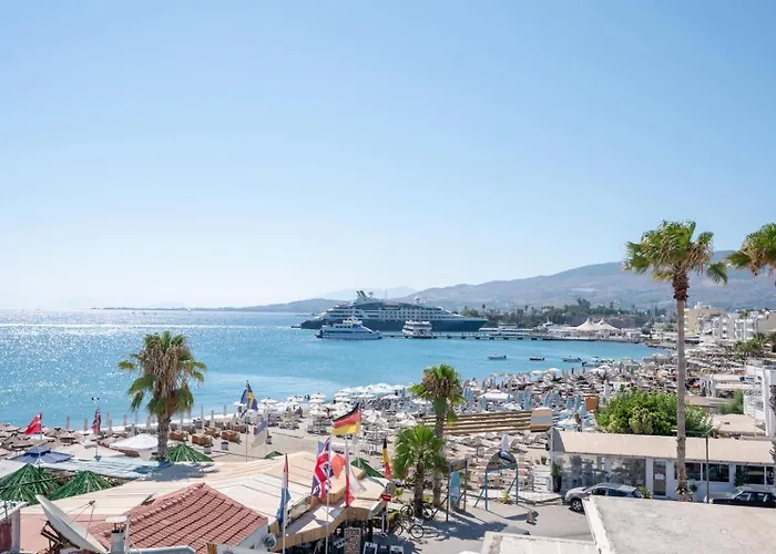 Penthouse Apartment *